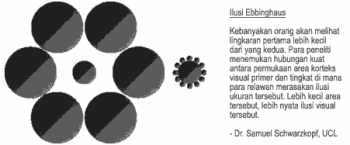 Arsitektur Otak Bedakan Persepsi Visual
