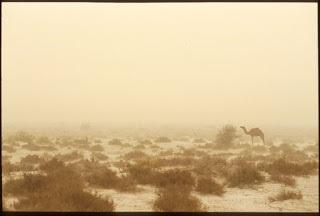 KARENA UKURAN KITA TAK SAMA